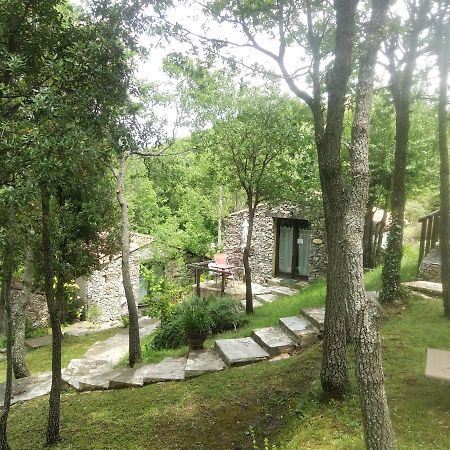 วิลลา เพรซิดิโอ Bed & Breakfast Riventosa ภายนอก รูปภาพ