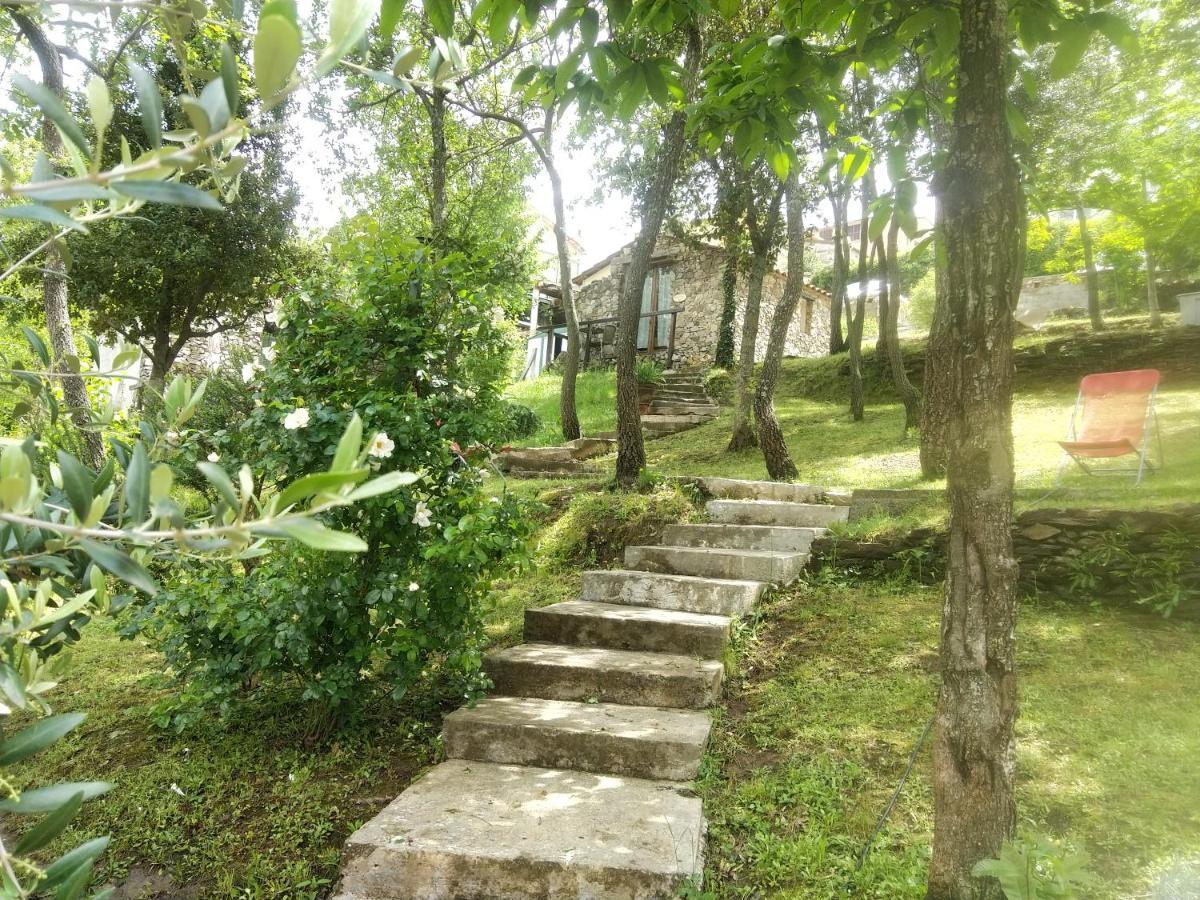 วิลลา เพรซิดิโอ Bed & Breakfast Riventosa ภายนอก รูปภาพ